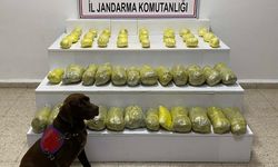 Van’da uyuşturucu operasyonu: Kilolarca ele geçirildi