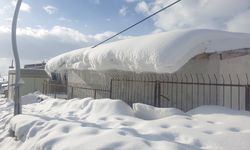 Başkale'de kar yağışı!