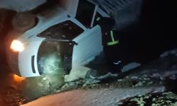 Van’da kontrolden çıkan kamyonet şarampole uçtu, 3 kişi yaralandı!