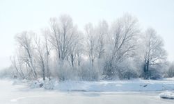 Van’da bugün bu yollar kapalı!