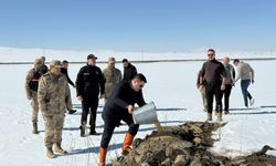 Van’da doğaya yem bırakıldı!