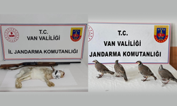 Van’da yaban tavşanı ve keklik avlayan şahıslara 115 bin TL ceza!
