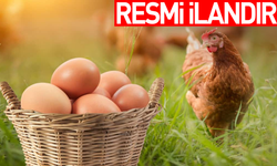 VAN BÜYÜKŞEHİR BELEDİYESİ YUMURTACI TAVUK SATIN ALACAK