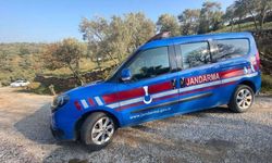 Van’da ele geçirildi: Değeri milyonlarca lira