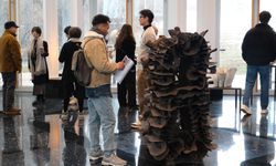 Türkiye'de ilk kez Van'da: Küresel sanatın yeni rotası Tariria'da!