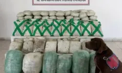 Van'da narkotik operasyon: Tam 320 kilo ele geçirildi, 15 kişi yakalandı!