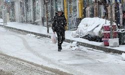 Van'ın Başkale ilçesinde kar etkili oldu