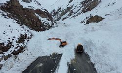 Çığ sonrası kapanan Van-Hakkari kara yolunda yeni gelişme!