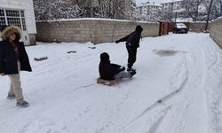 Van’da mart ayında kar yağışı