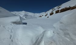 Kar Van’ın esir aldı: 4 ilçede 65 yol ulaşıma kapandı!