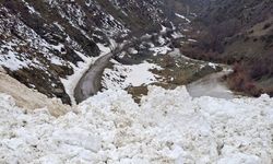 Van’da çığ düştü: 8 mezraya ulaşım kesildi