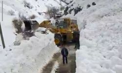 Bahçesaray yoluna düşen çığ temizlendi