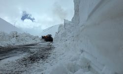 Van’da 90 günlük hasret bitiyor, "9. gezegen" dünyaya bağlanıyor