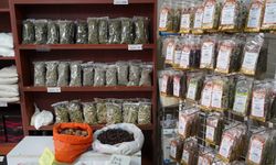 Vanlıların bahar reçetesi aktarlardan! Bahar yorgunluğu ve gribal enfeksiyona karşı 5 doğal reçete