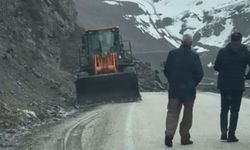 Van-Hakkari kara yolu trafiğe açıldı