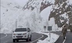 Van-Hakkari yolunda çığ felaketi!