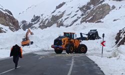 Van’dan giderken bu yolu kullananlar dikkat! Hayati uyarı yapıldı