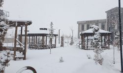 Van’da kar yağışı etkili oldu