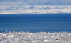 Van Gölü Havzası nefes aldı!