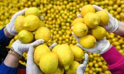 Fiyatı bir anda 100 TL’yi geçti: Cumhurbaşkanı Erdoğan duruma el attı!