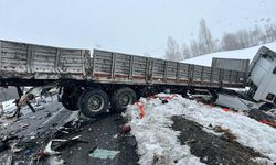Van-Tatvan Karayolu’nda meydana gelen kazada yürek burkan detay!