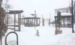 Van’da dondurucu soğuklar!