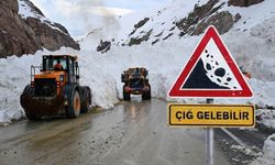 AFAD’dan Van’a çığ uyarısı!