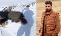 Vanlı genç başından vurulmuş halde ölü bulundu!