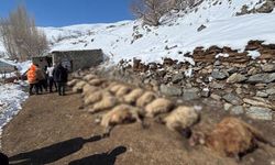 Van'da ahırda feci yangın: 67 küçükbaş hayvan telef oldu