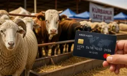 Kurbanım kabul olur mu? Kredi Kartı ile kesimde bu hataya dikkat!