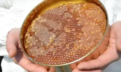 Sofranizdaki balda büyük tehlike: O maddeye yasak geliyor!