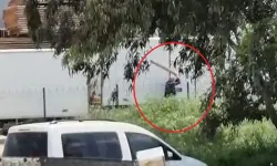 Adana'da sokak köpeğini sopayla döven kişi gözaltına alındı!