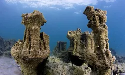 Dünya Van Gölü’nü konuşacak: Adım adım Guinness rekoruna koşuyor!