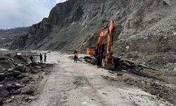 Van-Hakkâri yolu ölüm yolu oldu!