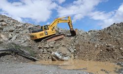 Van-Hakkari arasına yeni alternatif yol geliyor!