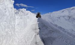 Van, Nisan ayında 5 metrelik kar ile mücadele ediyor!