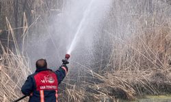 Van'da sazlık alanda yangın çıktı!