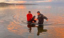 Soğuk havada Van Gölü’ne giren alkollü vatandaş kurtarıldı