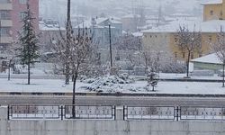 Van'a bahar yerine kar geldi!