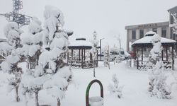 Kış Van’a geri döndü: Van’a bahar yerine kar geldi!