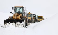 Van’da bahar ortasında yağan kar, yolları kapattı!