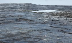 Van, Bahar’da dondu!