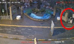 Van’da hırsızlar SMA’lı bebeklerin bağış kutusunu çaldı: 2 kişi tutuklandı!