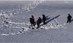 Van-Bahçesaray yolunda "çığ" mesaisi: Uzman ekipler en kritik noktaları mercek altına aldı!