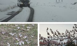 Van’da mevsimler karıştı: Aynı ay, iki farklı mevsim tek karede!