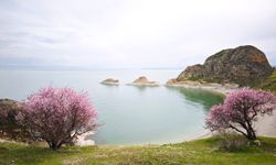 Van Gölü kıyılarında renk cümbüşü: Eşsiz manzarayı gören gözlerini ayıramıyor!