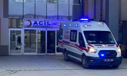 Köpek dehşetinde flaş gelişme: Belediye personeli gözaltına alındı