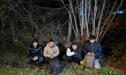 Van’da göçmen şebekesi çökertildi: 9 kişi yakalandı, 4 kişi tutuklandı!