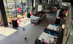 Peugeot Sevimli Van’da çocukların fırçasıyla renklendi!