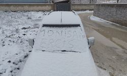 Van’a nisan ayında kar yağışı!